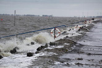 Die Sehestedter Küste bei Regen und Sturm, Foto S. Lorenz