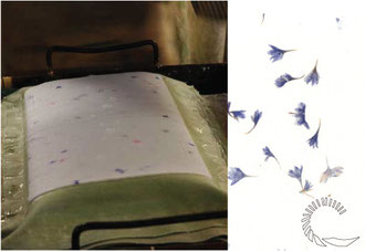 couchage d'une feuille de papier au moulin de vallis clausa