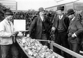 - Dites donc, Jenkins, voilà un joli lot de patates, vous ne trouvez pas?