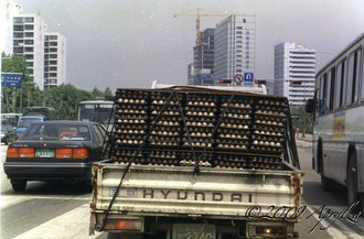 egg delivery, Seoul 1994