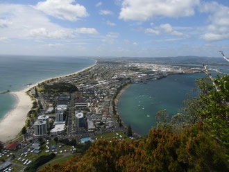 Blick vom Mount auf den Stadtteil