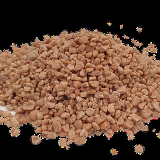NOCCIOLINO DI OLIVA