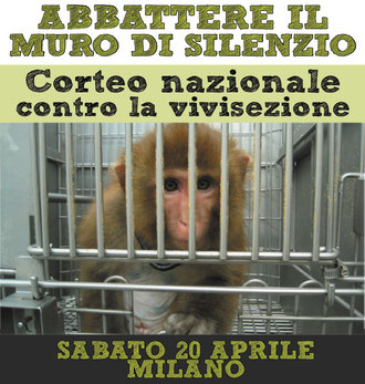 vivisezione dog angels onlus