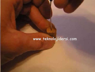 düzen kuşağı