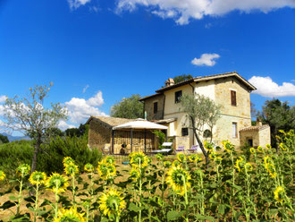 Apartments the Cerqueto (4 people each)