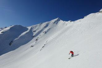 Gemsfreiheit, Morteratschgletscher