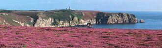 Cap Fréhel - © LE MOIGNE Jean-Louis
