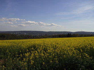 Im Hintergrund die Stadt Kaiserslautern