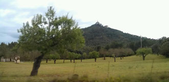 Ein 5km langer Aufstieg auf den Puig de Sant Salvador auf 509 m.ü.M hatte es in sich