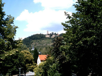 Blick auf Burg und Kirche