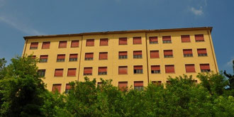 Fonte immagine: www.liceomaccari.com