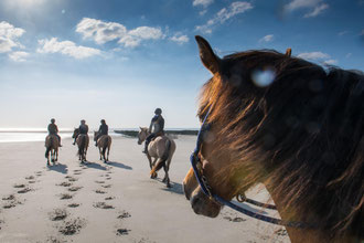 Equitation Entre Mer et Forêt Quend Plage Gîte 4 personnes classé 3 clés Clévacances et Chambre d'Hôtes Bord de mer entre Baie de Somme et d'Auhie près du   Marquenterre Golf et Aquaclub Belle Dune 