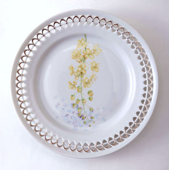 「SEASON'S PLATE」より　南蛮皀莢　　　　　　　　　　2009