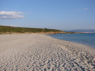 Spiagge Di Alghero E Dintorni Le Più Belle Vicino