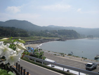 遠藤さん宅からの風景