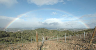 Arc-en-ciel sur "Les 4 Chemins"