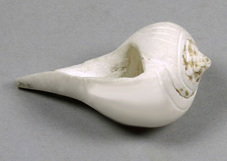 Muschelflasche aus Indien um 1900