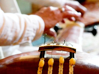 tanpura, Yoga de la Voix, Mantras et Chant Sacré de l'Inde  - www.yogadelavoix.com