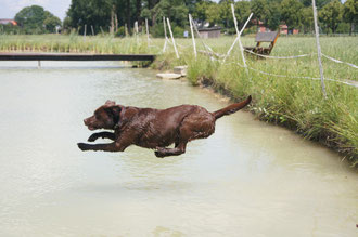 Wasserarbeit