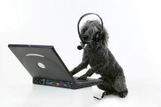 Contact Us; Puget Sound Pet Stop