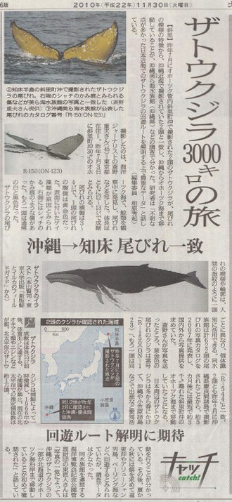 北海道新聞　2010/11/30