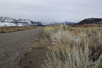 Hot Creek Hatchery Road: in 1945, John Wayne drove a herd of cattle along this path in "Flame of Barbary Coast".