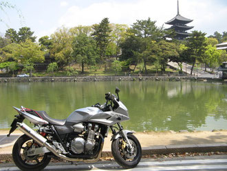 猿沢池と興福寺五重塔