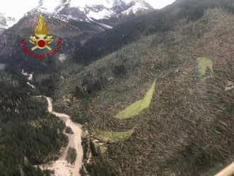 campagna di piantumazione e forestazione di Fogliaviola Fantasy Design in Veneto