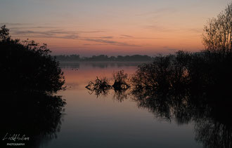 SUNSET SHADOWS - Location: Dümmer Lake, Lower Saxony, Germany