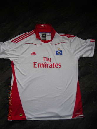 Das HSV-Trikot 2010/2011