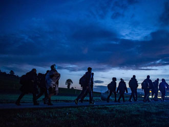 Flüchtlinge hinter der deutsch-österreichischen Grenze auf dem Weg zu einer Notunterkunft. Foto: Armin Weigel