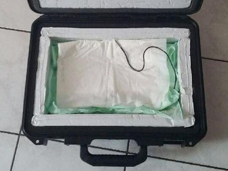Ein Koffer mit einer möglicherweise lebensrettenden Knochenmarkspende wurde in Siegburg aus einem ICE gestohlen. Foto: Bundespolizei