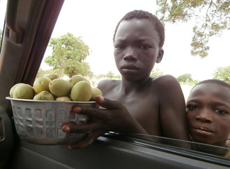 enfant vendant noix de karité