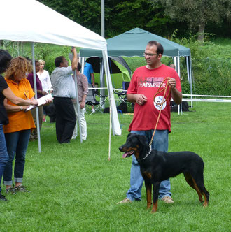 Bella in Gernsheim 2014