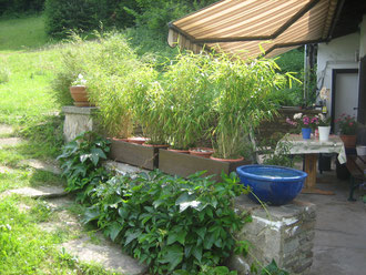 Sichtschutz Terrasse 2