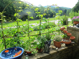 Sichtschutz Terrasse 4