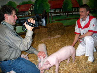 Landjuwel-Messestand mit Ferkeln aus Brandenburg  bei der IGW Internationalen Grünen Woche in der Tierhalle: Berlins Fleischermeister und Innungsvorstand Jörg Staroske gibt ein Interview. Foto: Helga Karl