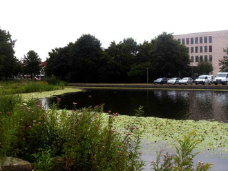 Parkanlage am Wissenschaftspark