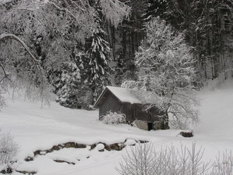 Winter 2010 2011