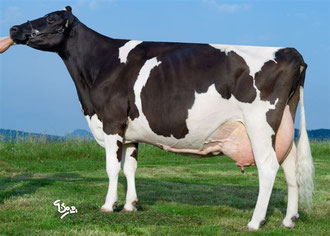 Colombo Chantal VG 89