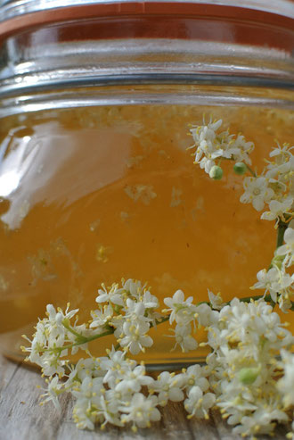 Holunderblüten und Prosecco - Feine Hugo-Marmelade