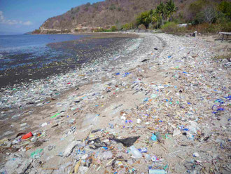 A large amount of litter that fills the coast of Sumbawa