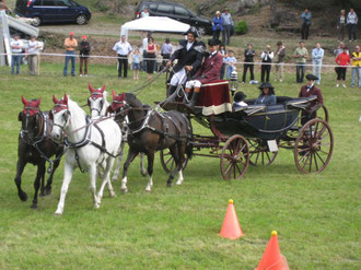 27 aprile 2007 - Concorso internazionale "attacchi" di Lostallo: spettacolare tiro a quattro di Edwin Bürge