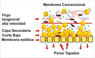 Membrana Convencional