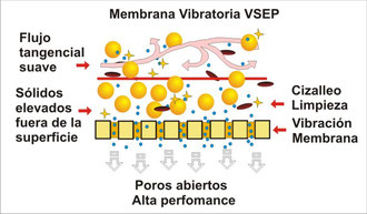 Membrana Vibratoria VSEP