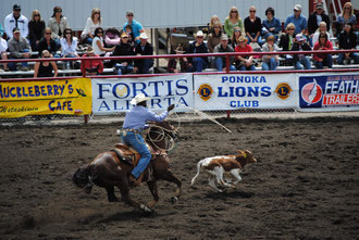 Rodeo auf der Mietwagenreise Texas und New Mexiko