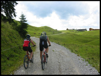 Die letzten Meter vor Erreichen der Rotwandalm.