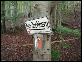 Hier geht's lang. Der Weg hinauf zum Jochberg-Gipfel ist perfekt ausgeschildert.