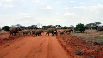 Tsavo East National Park