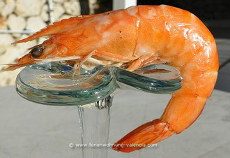 Langostino gekocht, Gamba, Foto: Birgitta Kuhlmey